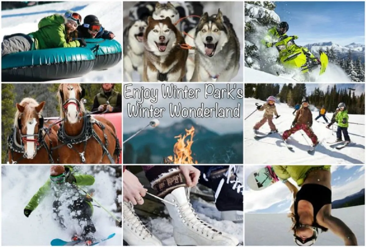 This dynamic image features a collage of winter activities: people tubing down snowy slopes, huskies ready for dog sledding, snowmobilers in motion, a horse-drawn sled ride, a cozy group gathered around a fire pit, skiers racing down the mountain, ice skaters, and snowboarders. The scene is lively, full of movement, and captures the exhilaration and diversity of winter recreation.