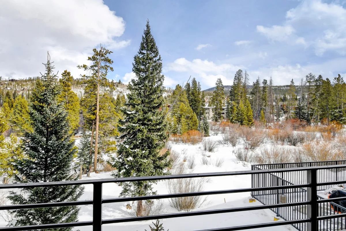 A peaceful exterior view of snow-covered pine trees and distant mountains beneath an open sky, evoking a sense of tranquility and natural beauty, perfect for outdoor exploration.